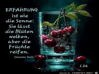 Erfahrung ist wie die Sonne