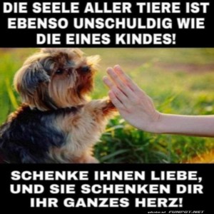 herz-Bild: Die Seele aller Tiere