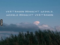 Vertrauen und Geduld in Balance