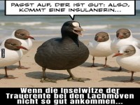 Trauerente mit misslungenem Inselwitz