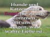 weiter