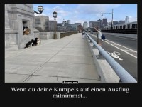 Stadtbummel mit den felligen Freunden