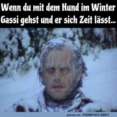 Ein-Gassi-Abenteuer-im-Schneegest&ouml;ber.jpg von Ida-1969
