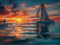 Segeln durch den Zeitdschungel!