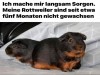 weiter