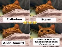 Wenn das Leckerli ruft