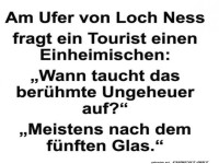 Loch Ness: Monster nach f�nf Gl�sern gesichtet!