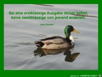 sei eine erstklassige