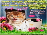 Guten Morgen