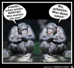 Schon-wieder-Montag.jpg auf www.funpot.net