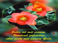 Jeder ist mit seinem Verstand