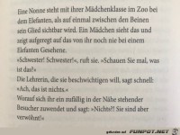 eine Nonne steht mit ihrer Mädchenklasse iim Zoo....