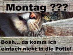 Montag.jpg auf www.funpot.net