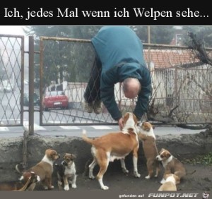 Wenn-ich-Welpen-sehe.jpg auf www.funpot.net