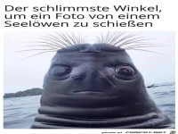 Lustiger Seel�we