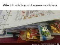 Motivation f�rs Lernen