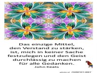 Das einzige Mittel... 2