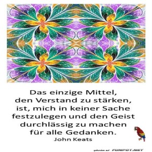 herz-Bild: Das einzige Mittel... 2
