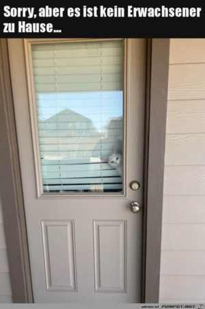 Keiner-zuhause.jpg auf www.funpot.net