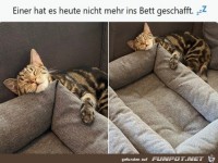 Zu m�de gewesen