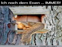 Ich nach dem Essen