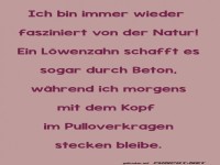 Faszination der Natur im Alltag
