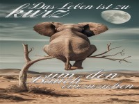 Mit Bauch geht's auch