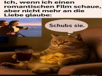 Katzen und die Romantik: Ein Drama