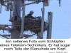 weiter