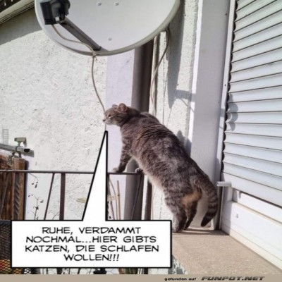 Ruhe,-verdammt-noch-mal.jpg von Leif