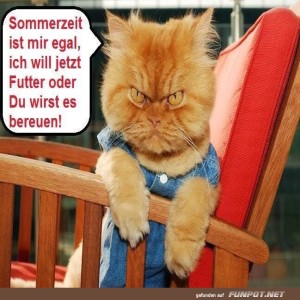 Ich-will-Futter.jpg von Leona