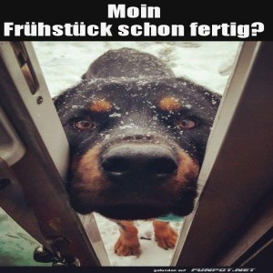 fun-Bild: Ist das Fr&uuml;hst&uuml;ck schon fertig?