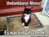 Undankbarer Mensch