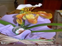 einen wunderschoenen Sonntag