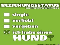 Beziehungsstatus