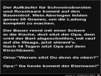 der Aufk�ufer f�r Schweinsborsten...