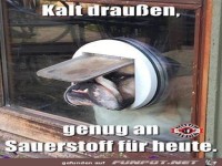 Kalt draussen