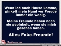 Hund-pinkelt-vor-Freude