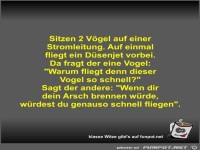 Sitzen 2 Vögel auf einer Stromleitung
