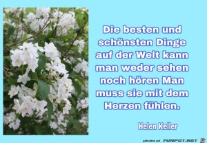 Die-besten-und-schoensten-Dinge.jpg auf www.funpot.net