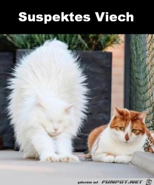 Die-ist-mir-nicht-geheuer.jpg auf www.funpot.net