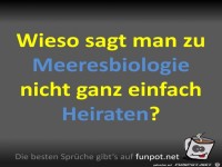 Meeresbiologie