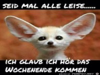 Ich h�re das Wochenende