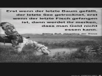 Erst wenn der letzte Baum