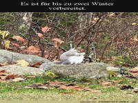 Gut vorgesorgt fr den Winter