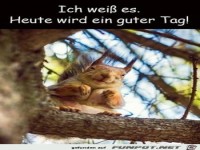 Heute wird ein guter Tag