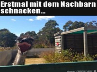 Hall�chen Nachbarn