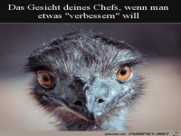 Sein Gesicht