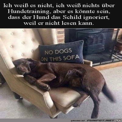 Hund-kann-nicht-lesen.jpg von Lou