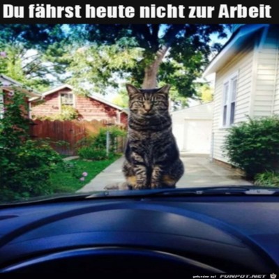 Du-bleibst-heute-hier.jpg von Ava